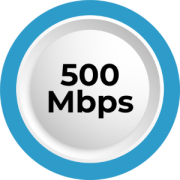 DIA 500Mbps