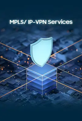 MPLS/ IP-VPN Services