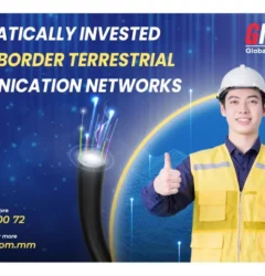 Systematically Invested Cross-border Terrestrial Communication Networks