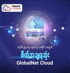 Safeguard your business with GlobalNet Cloud