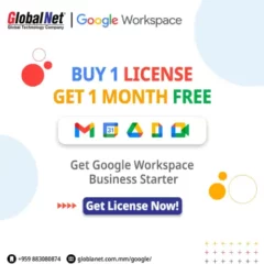 Buy 1 License and get 1 whole month free
