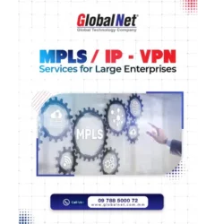 𝐌𝐏𝐋𝐒/𝐈𝐏-𝐕𝐏𝐍 𝐒𝐞𝐫𝐯𝐢𝐜𝐞𝐬 𝐟𝐨𝐫 𝐋𝐚𝐫𝐠𝐞 𝐄𝐧𝐭𝐞𝐫𝐩𝐫𝐢𝐬𝐞𝐬