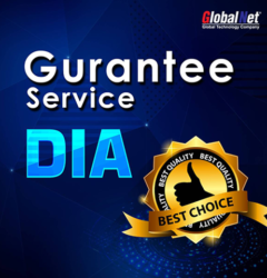 How to customer support DIA Services