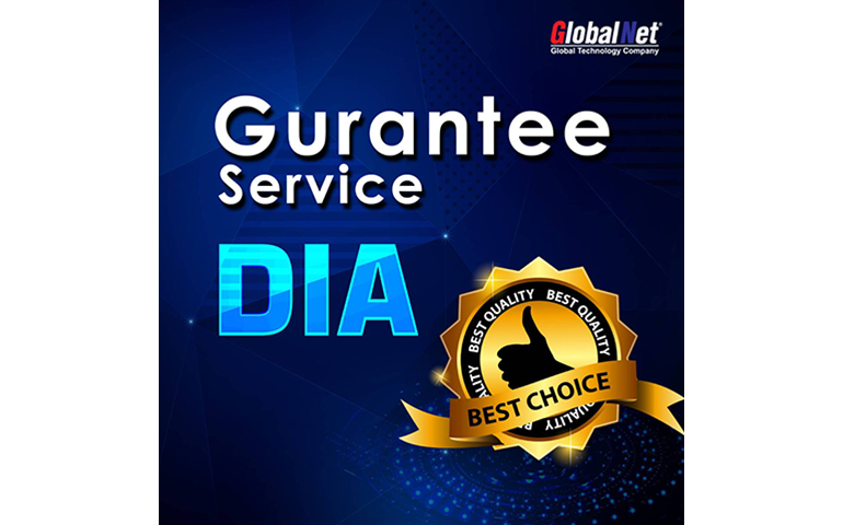 How to customer support DIA Services