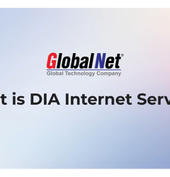 GlobalNet DIA Services